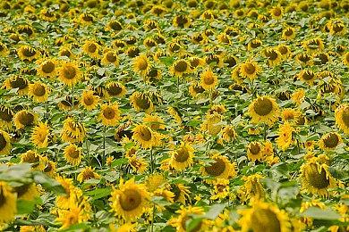 一起勘破无常！国风类魂ARPG《明末：渊虚之羽》现已发售